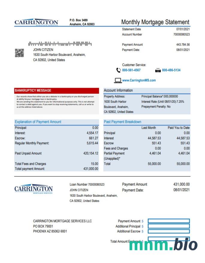 Szablon wyciągu bankowego USA Capitec